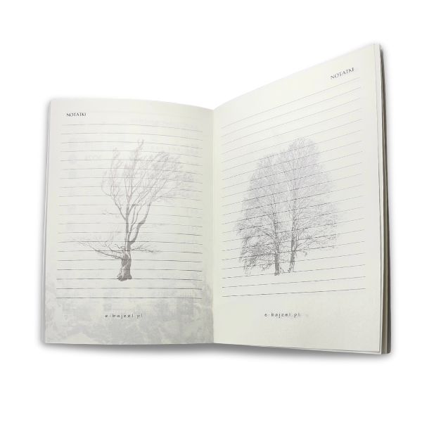 planer-na-prezent-i-w-góry